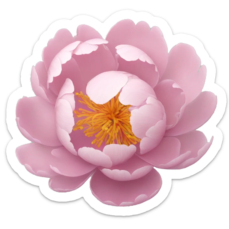 Peony sticker