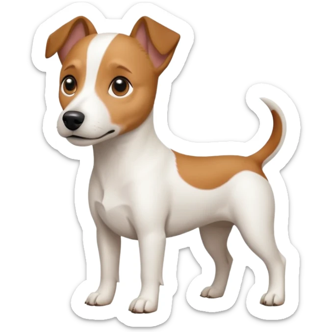 a full body white jack russel looking dog the size of a kelpie with light brown ears and a light brown patch on one eye and a large snout sticker