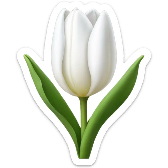 White tulip sticker