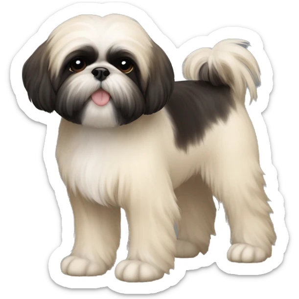 black Shih-Tzu cream chest and feet and bushy light eyebrows. He is a puppy  sticker