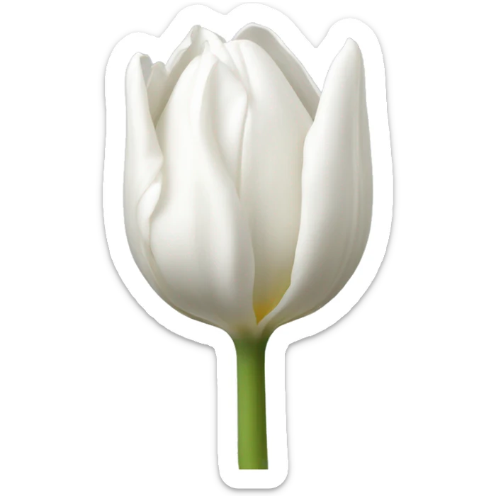 white tulip sticker