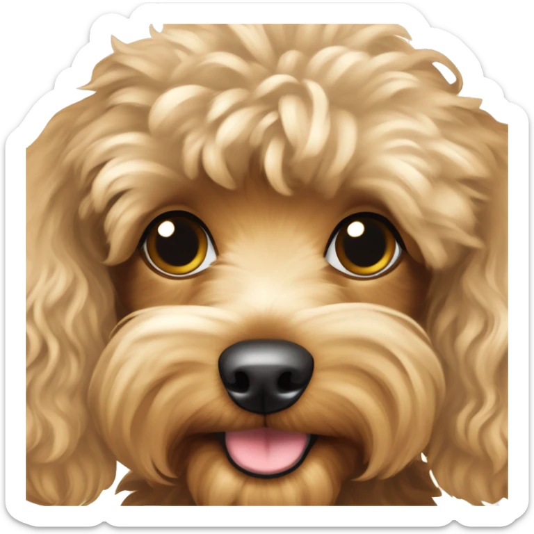 Light brown and cream colored Yorkie poodle mixed dog with curly hair body and very fluffy with longer ears sticker