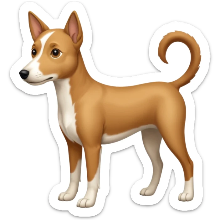 a full body white parsel russell looking dog the size of a kelpie with light brown ears and a light brown patch on one eye and a large snout sticker