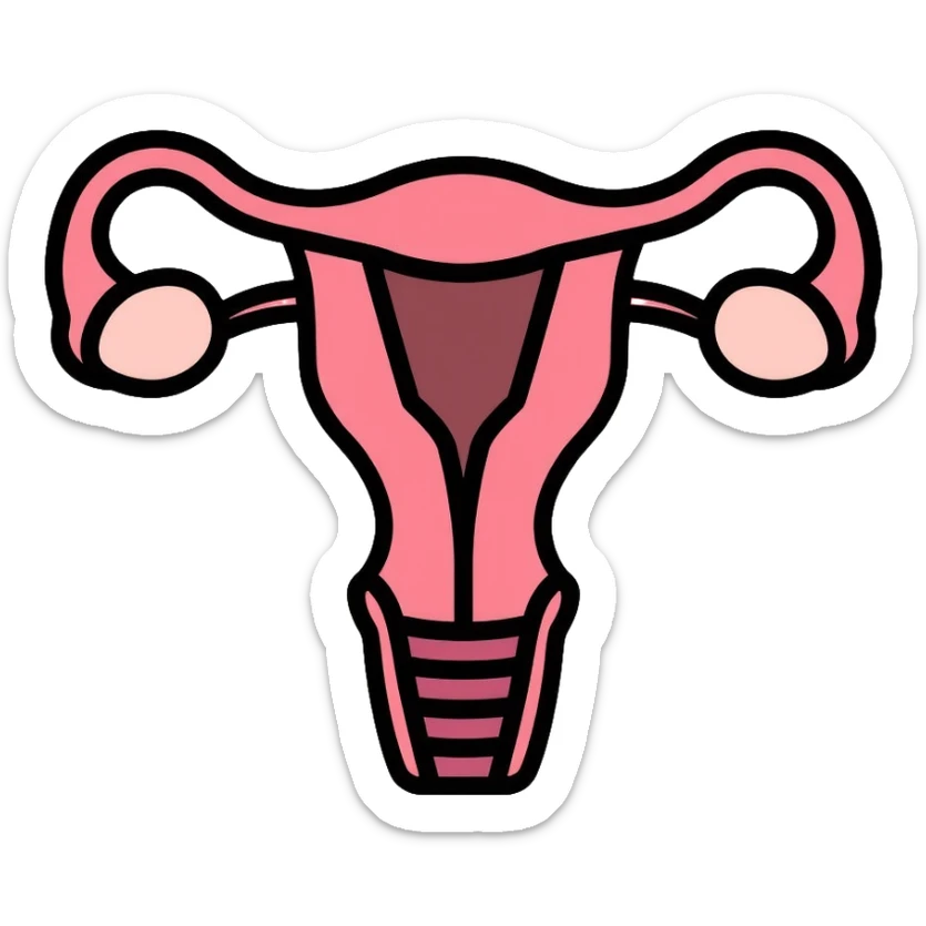 simple medical diagram of male reproductive anatomy, tasteful, anatomical sticker
