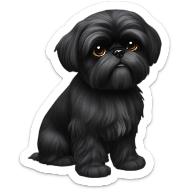 black Shih-Tzu sticker