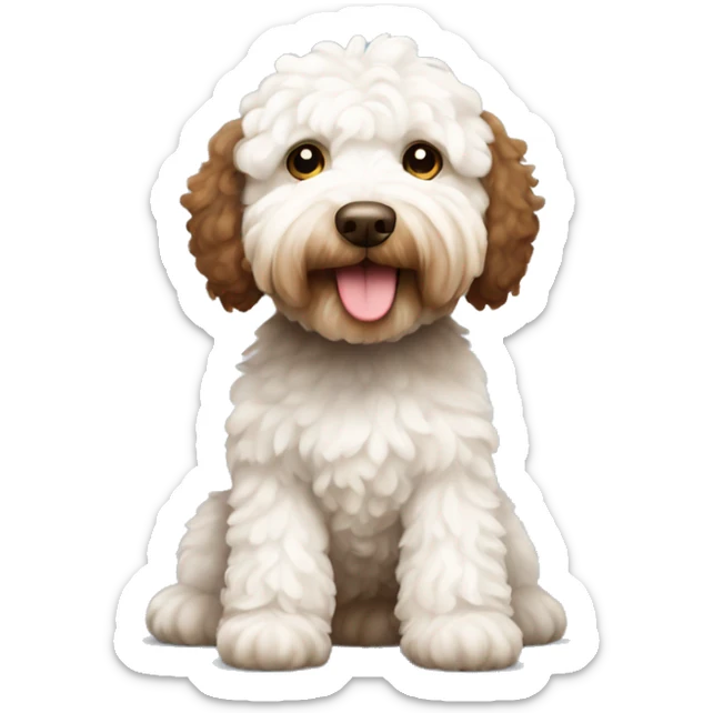 australian labradoodle white and brown , white face, brown body, you can see the full body sticker
