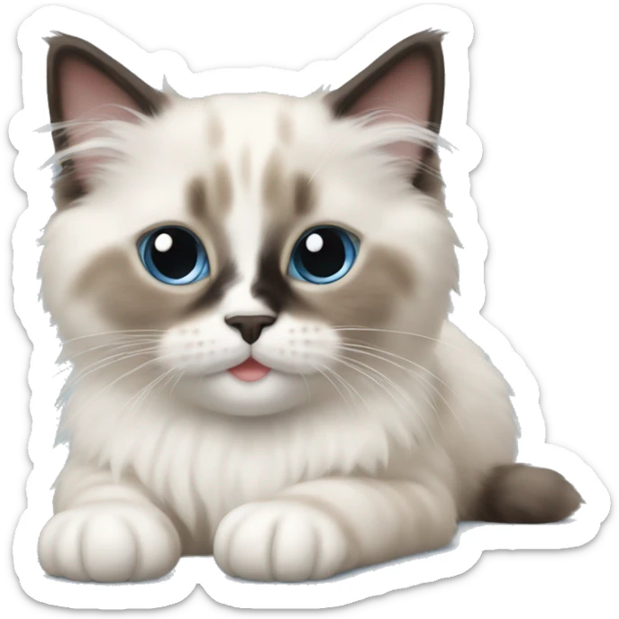 Ragdoll kitten laying  sticker