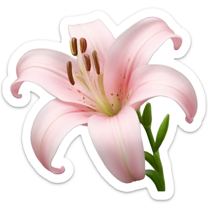 light pink lilium sticker