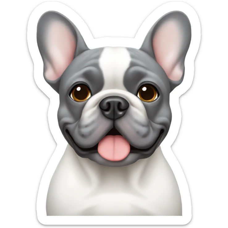 Grey French bulldog with white down the middle of the face sticker