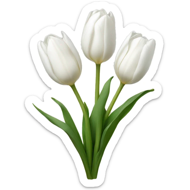 White tulips  sticker