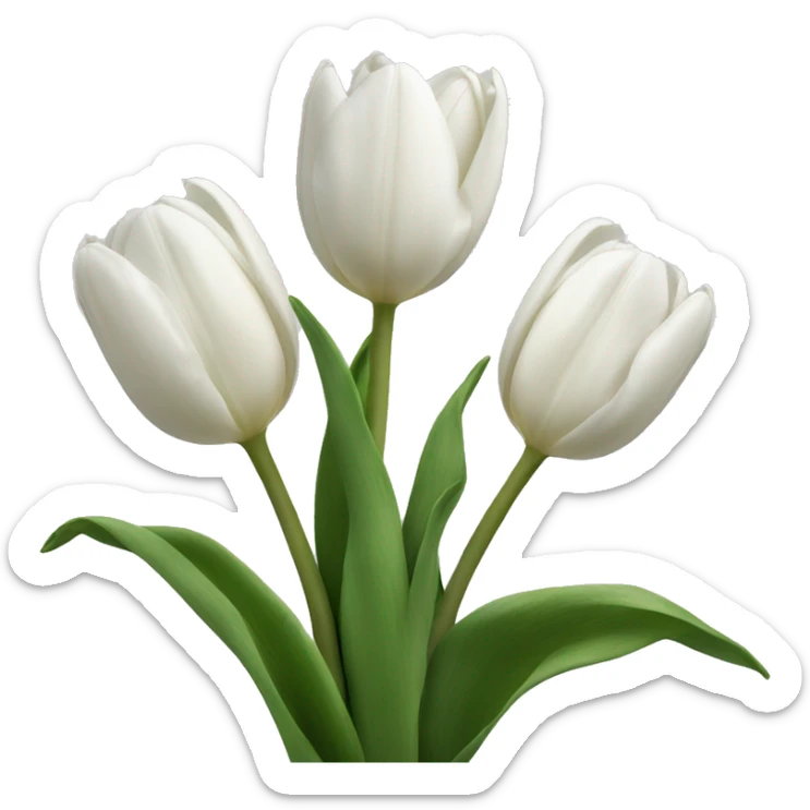 White tulips sticker