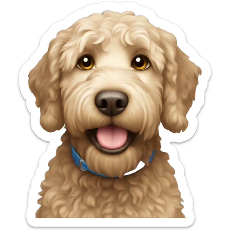 Labradoodle  sticker