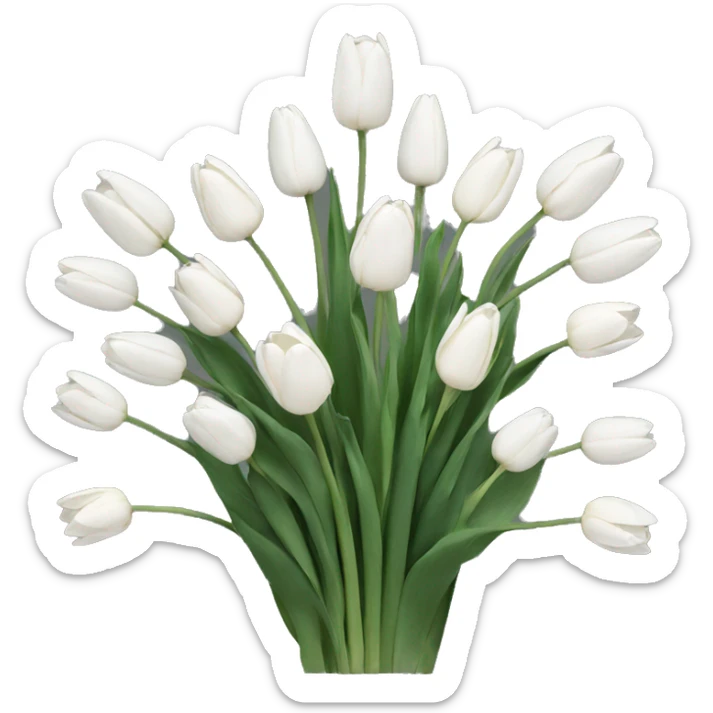 White tulips sticker