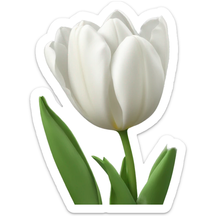 White Tulips sticker