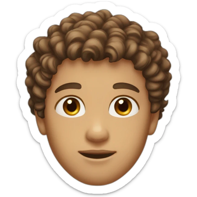 Boy with light skin, brown eyes, curly and brown hair on the top and short on the sides, and beard with a profiled jaw sticker