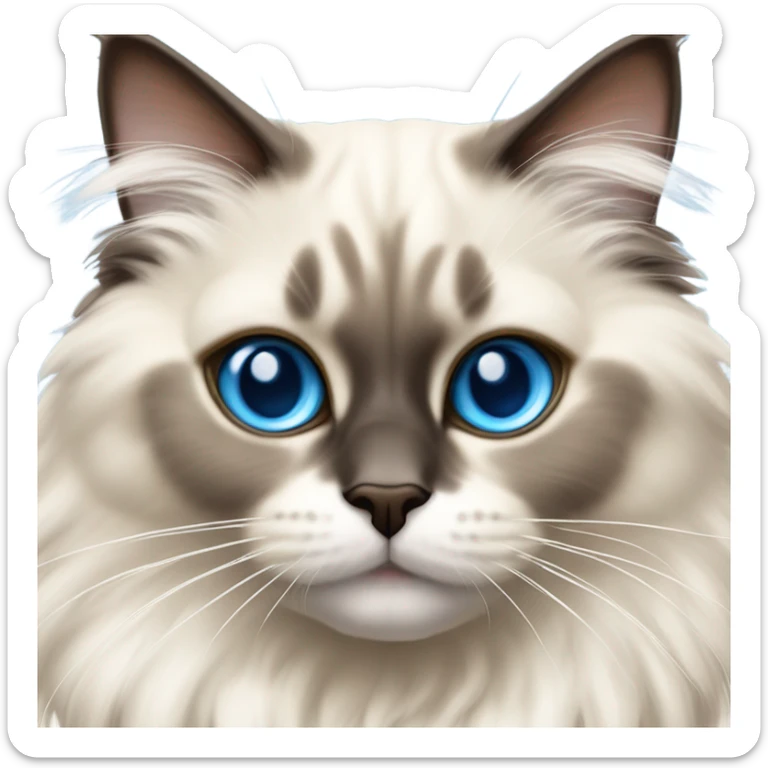 Ragdoll cat  sticker