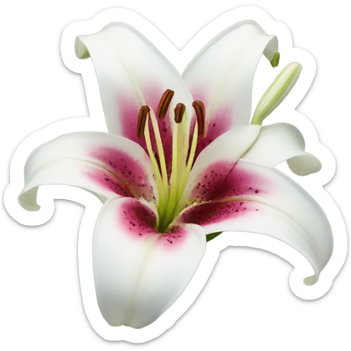 Lily flower sticker