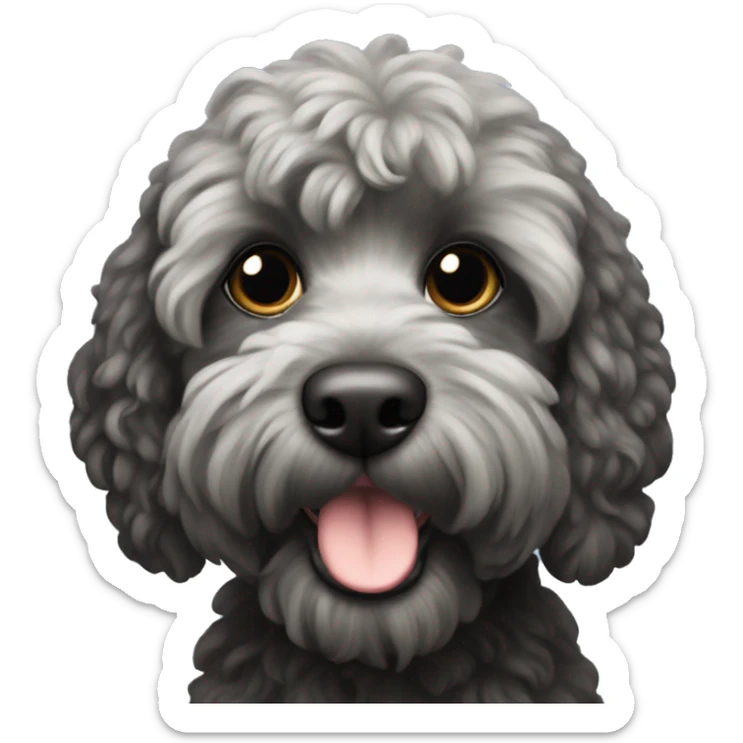 black cockapoo  sticker