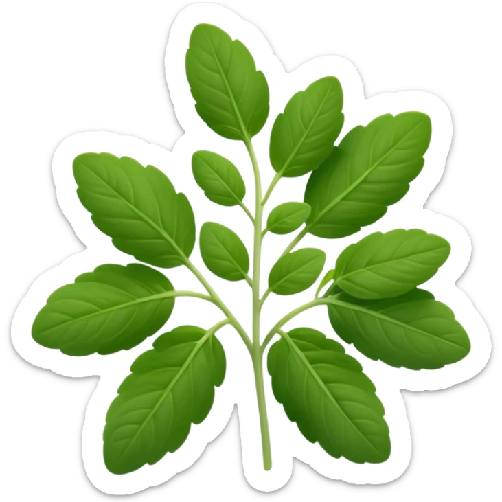 small sprig of fresh oregano with oval slightly fuzzy green leaves on thin tender stems, leaves clustered and layered with subtle natural curves and soft midrib veins, color ranges from vibrant to muted green, no pot scissors or extras, apple emoji style, soft lighting, subtle shadows, emoji scale sticker