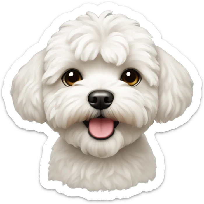 white maltipoo sticker