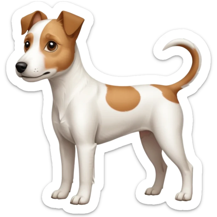 a full body large white parson russell looking dog the size of a kelpie with light brown ears and a light brown patch on one eye and a large snout sticker