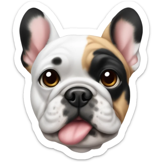Frenchie with one eye with black patches of fur around eye area and one eR sticker