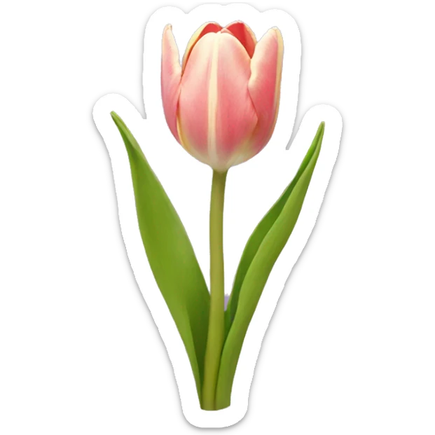 Tulip sticker