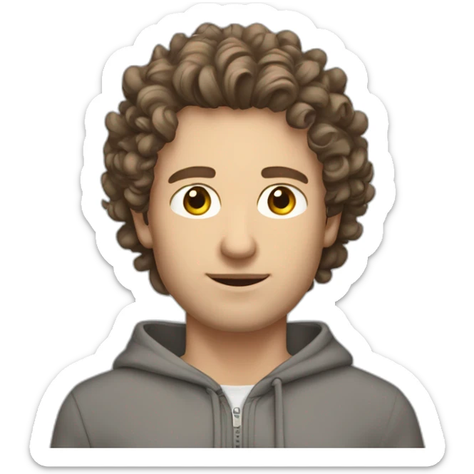 Caucasian man grey zipped hoodie brown hair bit curly brown eyes sticker