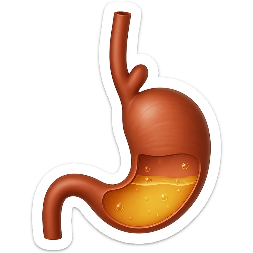 Create an emoji of esophagus and stomach similar to the reference image, in Apple emoji style with transparent background. sticker