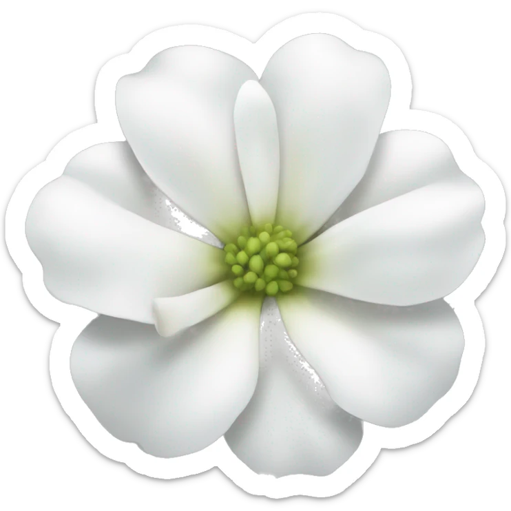 White flower  sticker