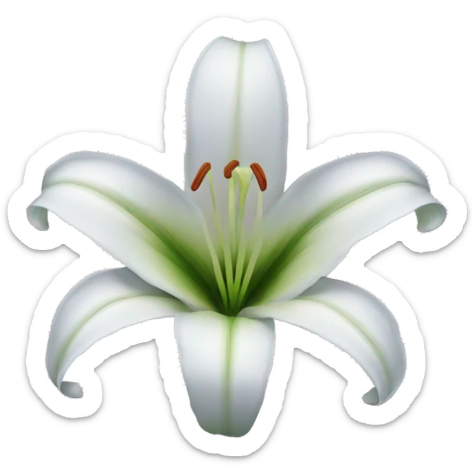 lily flower  sticker