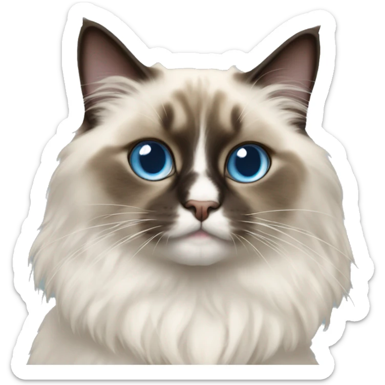 Ragdoll cat sticker