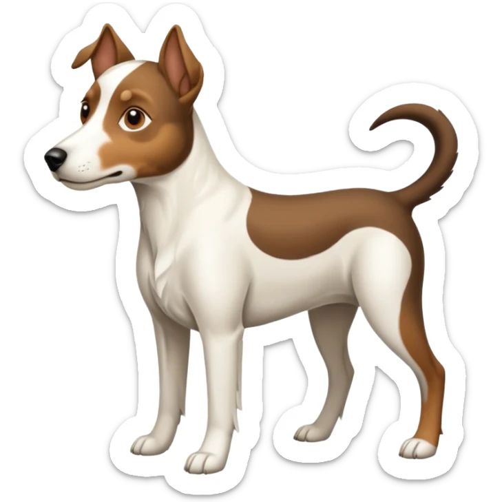 a full body large white floppy eared parson russell looking dog the size of a kelpie with light brown ears and a light brown patch on one eye and a large snout sticker