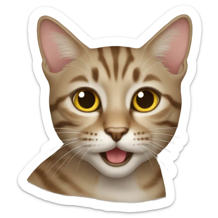 Cat sticker