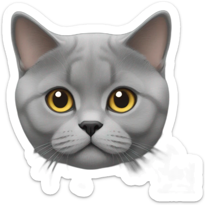 British shorthair sticker
