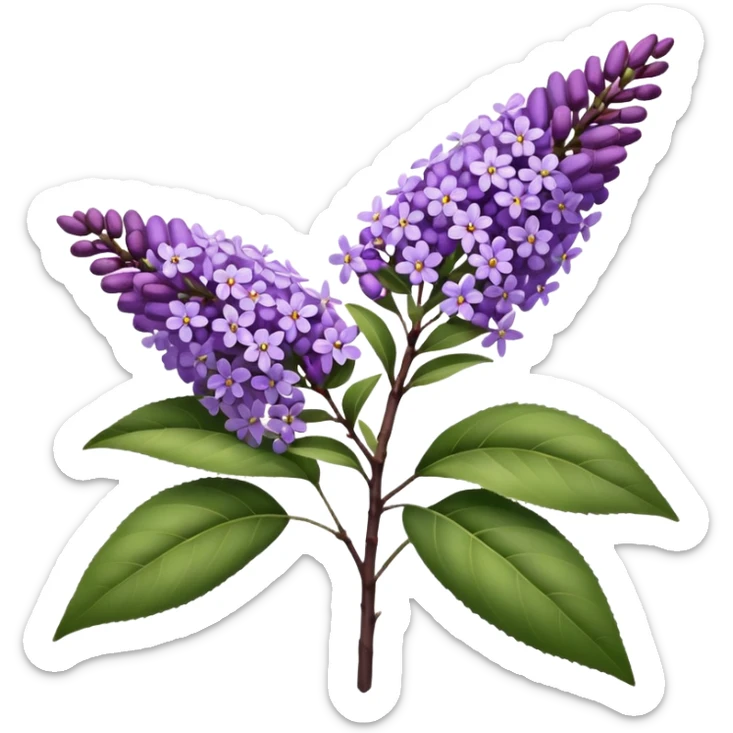 Summer Lilac: As one of the butterflies’ favorite flowers, summer lilac, also known as butterfly bush, is a fragrant and fast-growing plant sticker