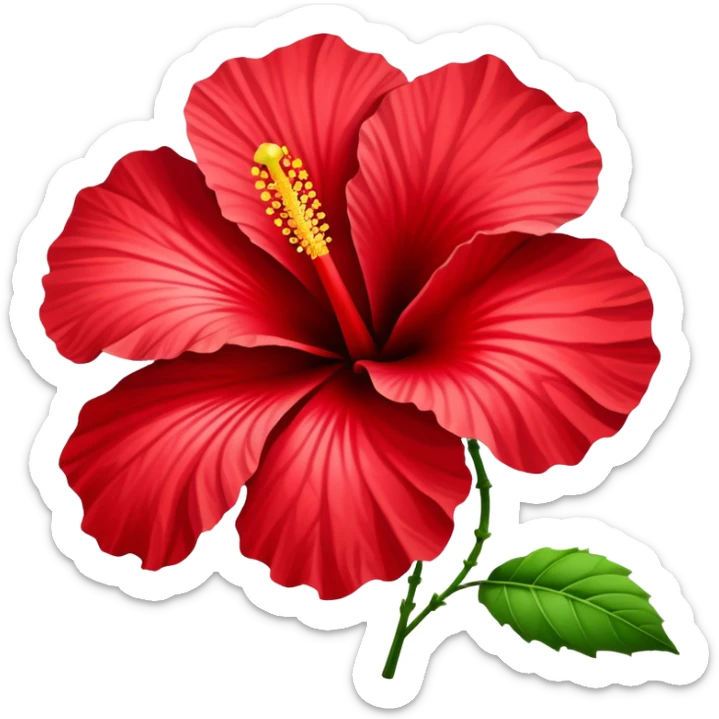 Vibrant red cotton rose hibiscus flower with large petals and prominent stamen sticker