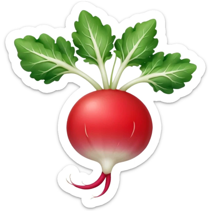 smaller radish UK plant with a bit of white on the bottom of the radish sticker