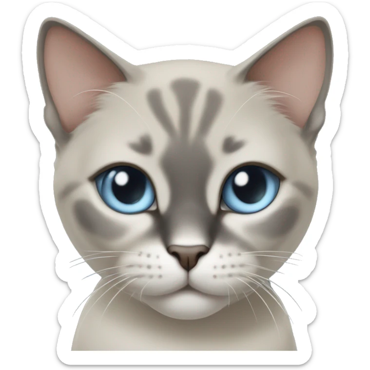Thai breed cat with a  cream body, dark gray face, ears, and paws. Short fur, sharp ears, and striking light blue eyes with an intense gaze. sticker