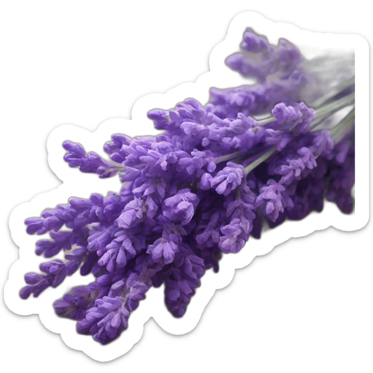 Lavender sticker