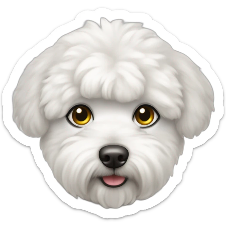 Un bichon avec ses poiles qui lui recouvrent les yeux sticker