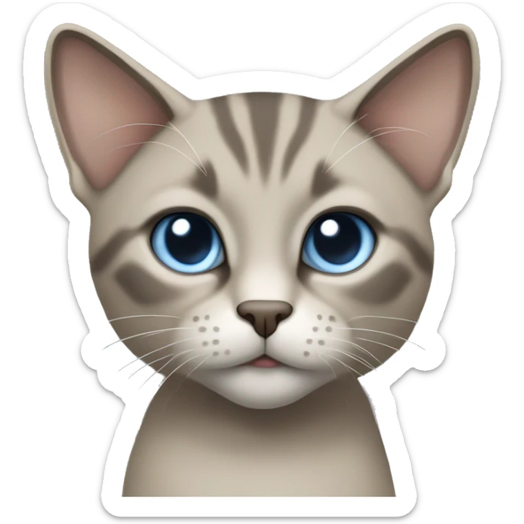 Thai breed cat with a light cream-brown body, dark gray face, ears, and paws. Short fur, sharp ears, and striking light blue eyes with an intense gaze. sticker