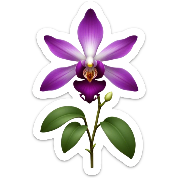 Cinematic Realistic Orchid Emoji, Exotic and elegant, with intricate, velvety petals in deep purple and white, forming a delicate and symmetrical blossom. The slender green stem holds the flower high, while surrounding leaves add lush contrast. Soft glowing outline, capturing the essence of rare beauty and sophistication in a captivating orchid. sticker