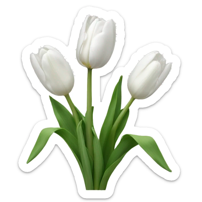 white tulips sticker