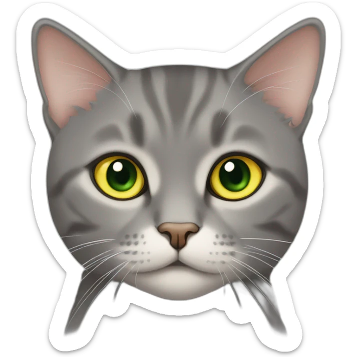 American short hair cat rubby- gray hair-yellow green eyes- The distance between the eyes is relatively far- a little bit fat sticker