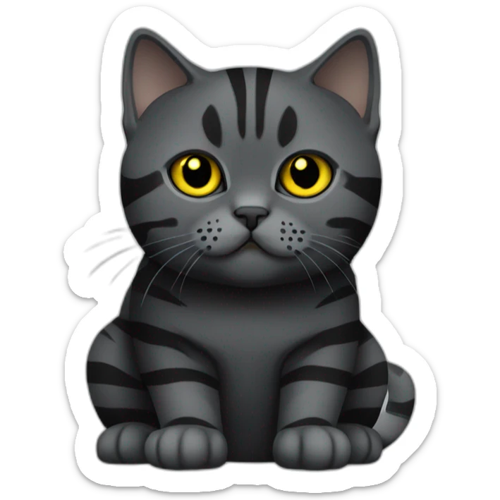british shorthair cat in the Color black with black smoke stripes with yellow eyes sticker