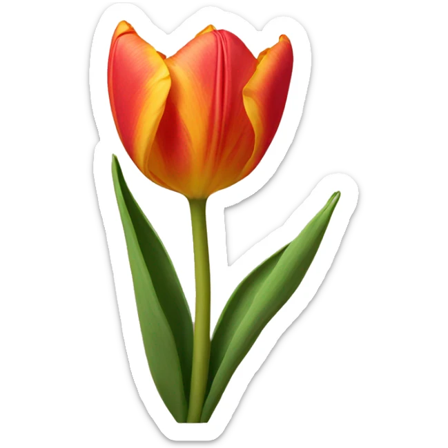 Sunset tulip sticker