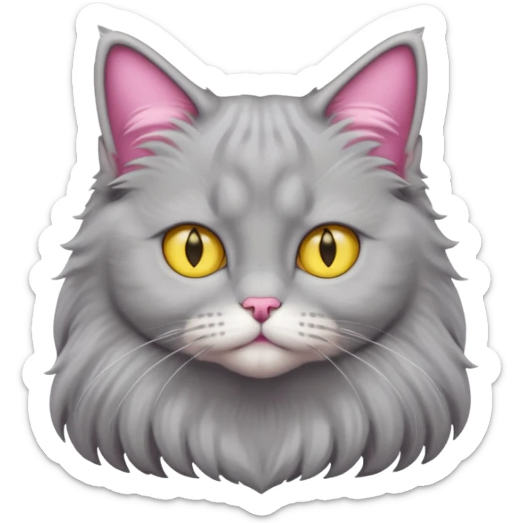 grey fluffy british long hair cat with yellow eyes straight fluffy hair rosa ears and grey rosa nose sticker