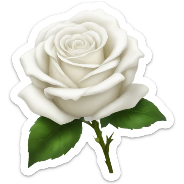 white rose sticker