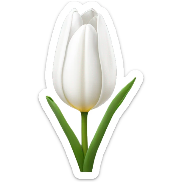 White tulip sticker